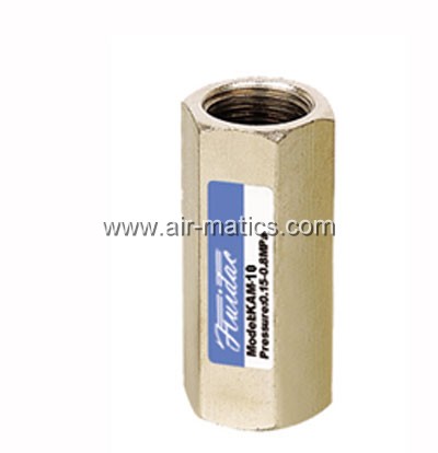 KAM hexagonal check valve